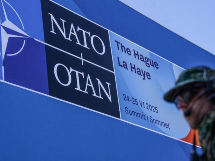 NetEase: саммит НАТО в Гааге стал победой для России