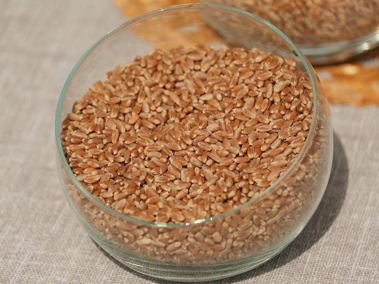 Волгоградский фермер не указал в декларации информацию о применении пестицидов