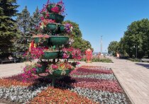 Какой сегодня день по народному календарю