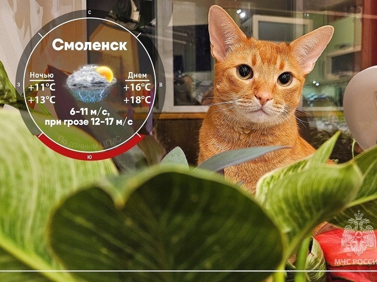 Завтра в Смоленской области погода существенно не изменится