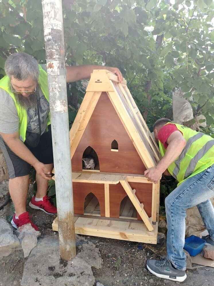 В Гаспре открыли еще два «Кошкиных дома»