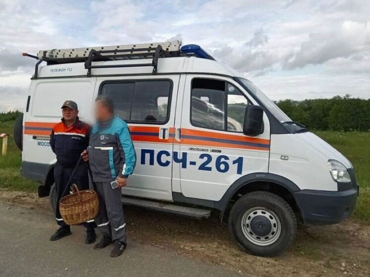 Заблудившегося грибника вывели из леса спасатели под Коломной
