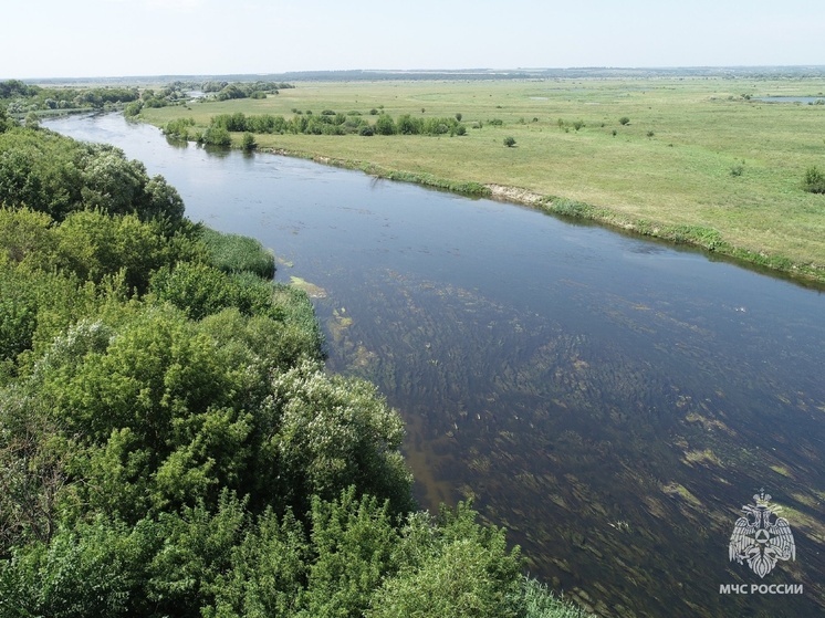 В Курской области с водоёмов удалили 18 пьяных граждан