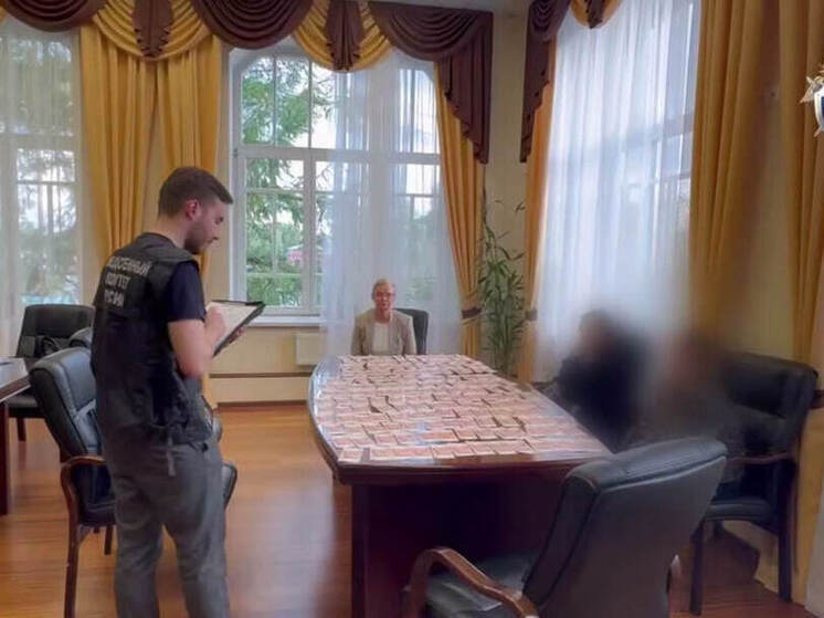 Видео задержания глав Колпинского района Петербурга попало в сеть
