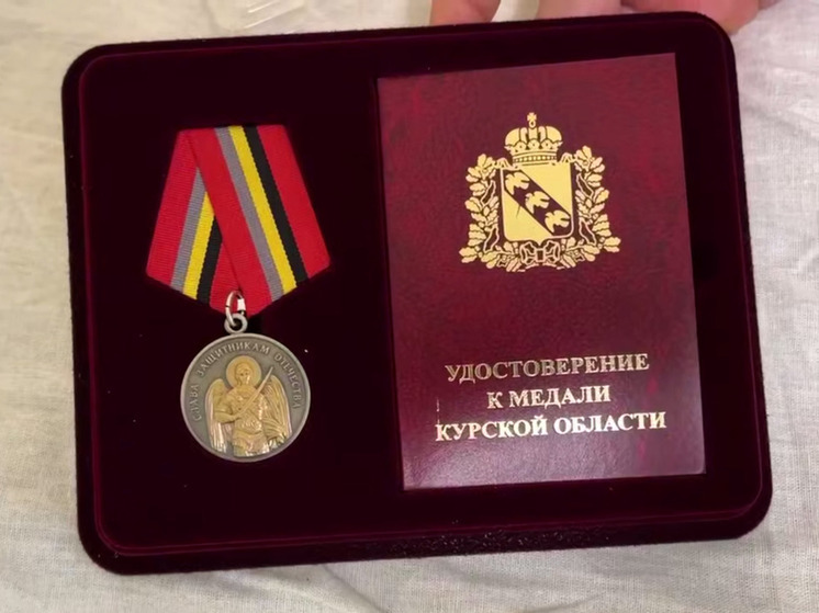 Хинштейн вручил медаль «Защитник Курской области» школьнику, прятавшему патроны от ВСУ