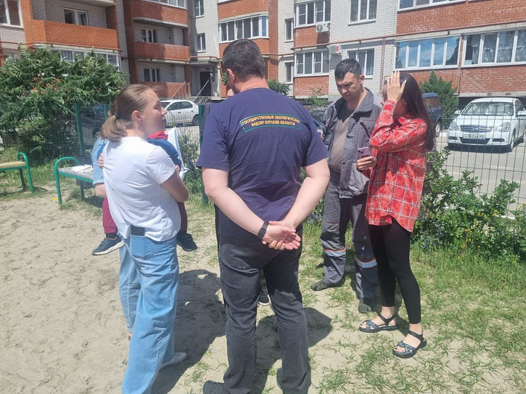 Специалисты провели встречу с жителями Курска по вопросу запаха гари