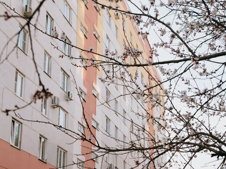 Молодая девушка погибла, спрыгнув с крыши многоэтажного дома в центре Пензы