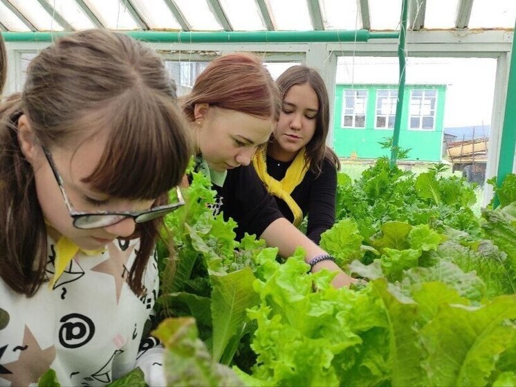 В Качугском районе проходит первая профильная агросмена