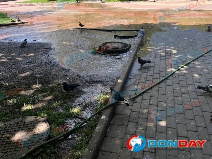 В центре Ростова-на-Дону прорвало канализацию
