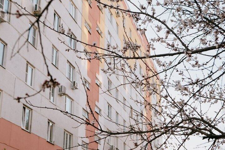Молодая девушка погибла, спрыгнув с крыши многоэтажного дома в центре Пензы