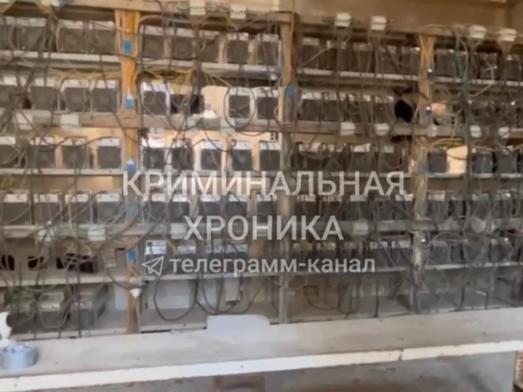 Нелегальную майнинг-ферму обнаружили в теплице в Дагестане