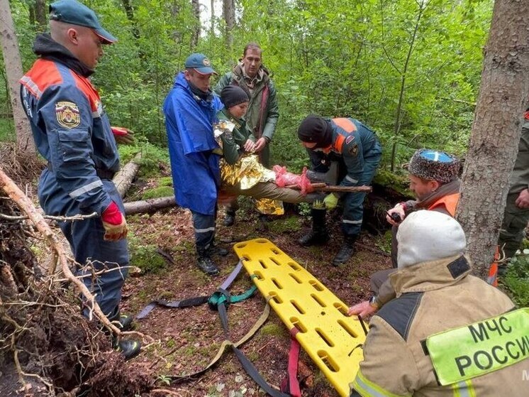 В лесах под Клюквино прошли масштабные учения по поиску людей