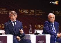 На пленарной сессии Чебоксарского экономического форума Глава республики подробно рассказал об успехах и перспективах развития региона до 2030 года
