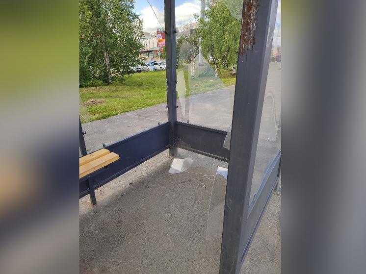 В Петрозаводске неизвестные разбили стеклянную остановку