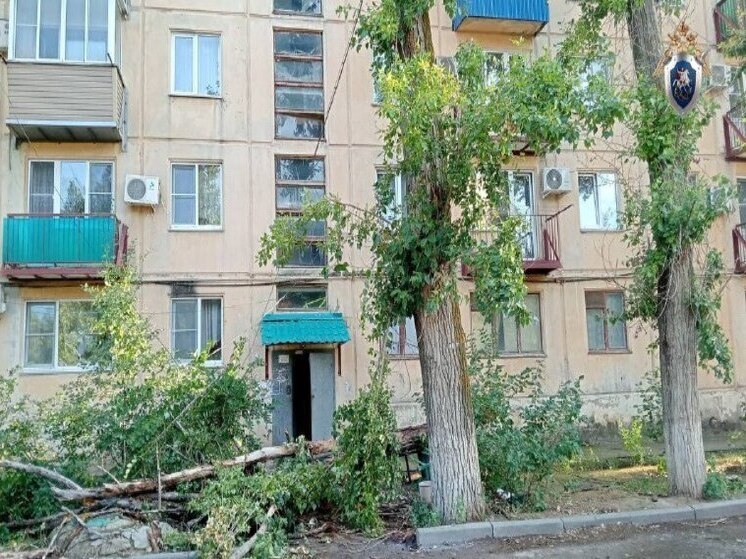 В Астраханской области пожилая женщина погибла под упавшим деревом