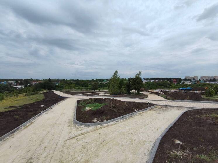 Благоустройство парка «Ласки» в Тамбове идет полным ходом