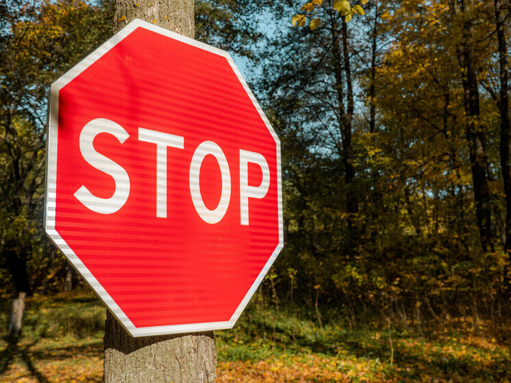 В связи с выпускным в Москве ограничат движение транспорта