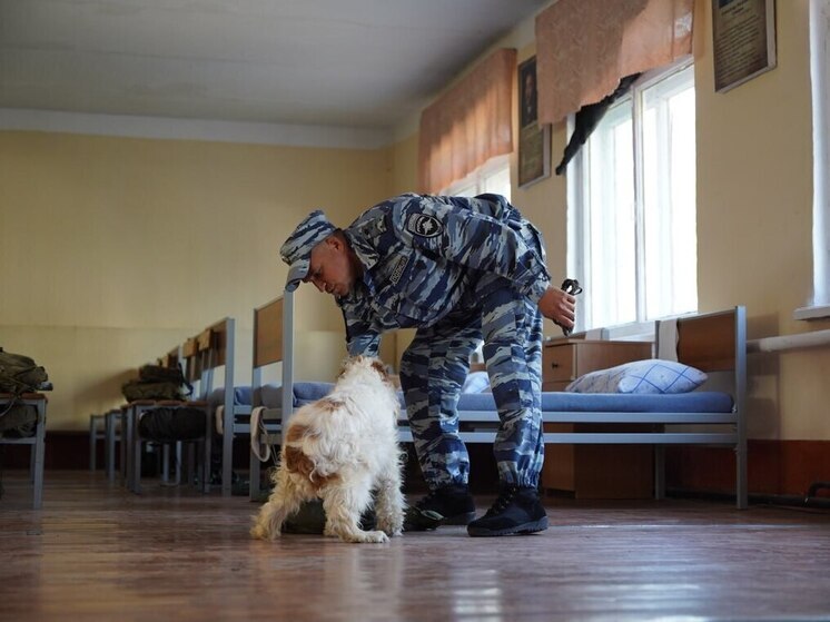 Полицейские Бурятии провели антинаркотическое занятие в воинской части