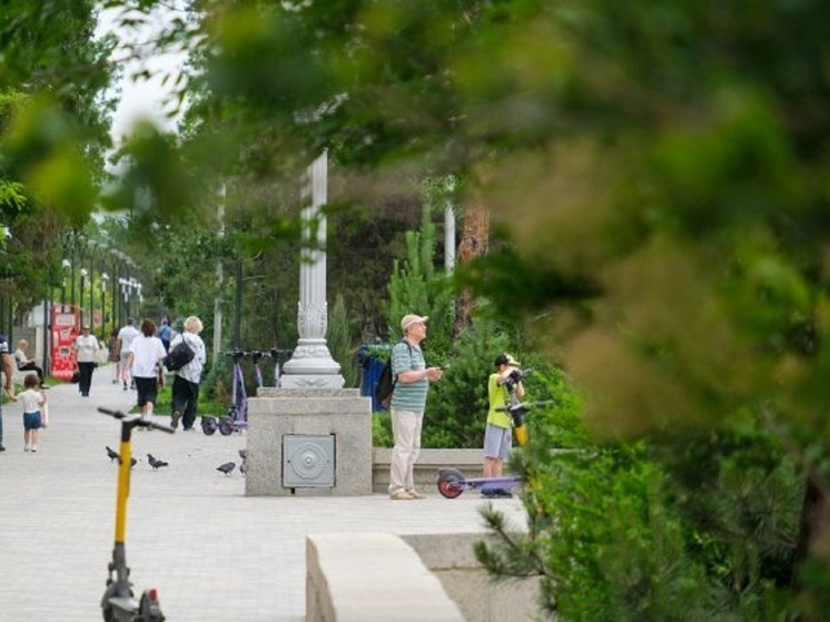 В Астраханской области 28 июня ожидается сухая ветреная погода