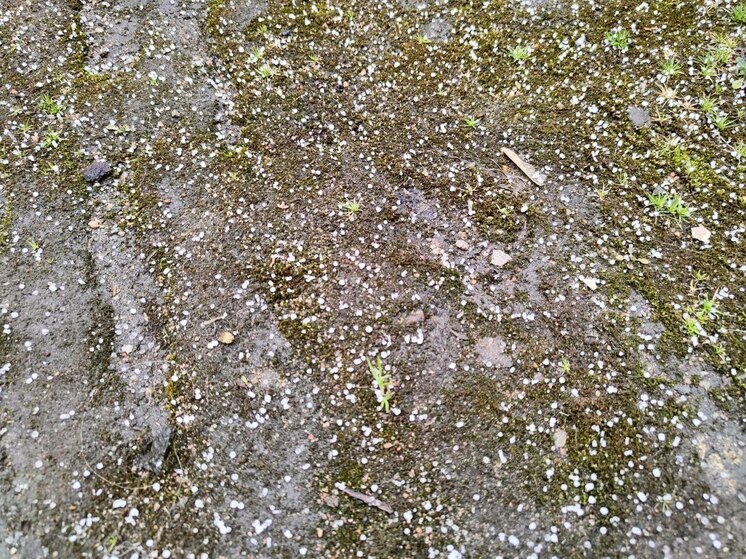 Град принес проблемы жителям юга Хакасии