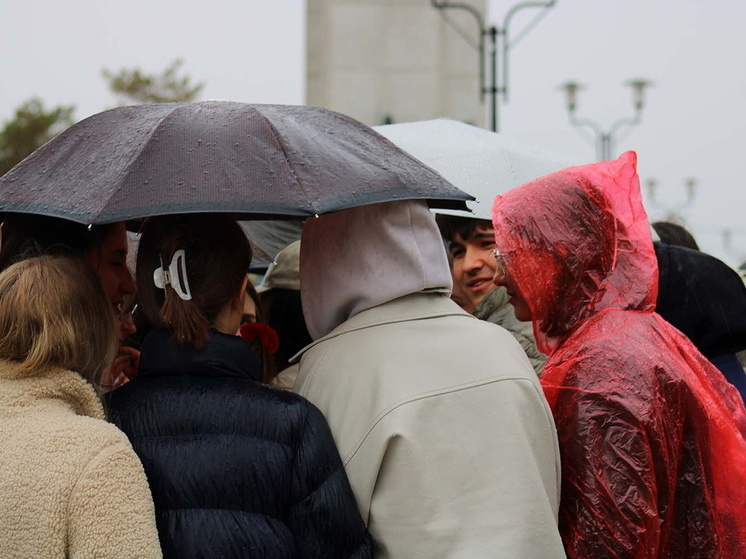 Погода в Омской области: после ясного Дня молодёжи вернутся дожди и грозы