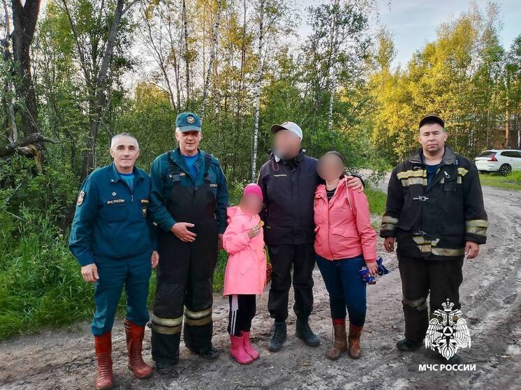 Под Тверью волонтеры и спасатели вывели из леса заблудившихся людей