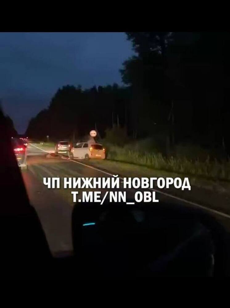 Два нижегородца пострадали в жестком ДТП с лосем