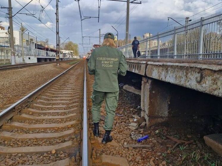 Под «Ласточку» попал мужчина на Ленинградском направлении ОЖД