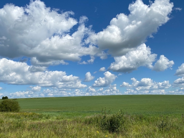 В Калужской области создают отряд БПЛА для помощи фермерам