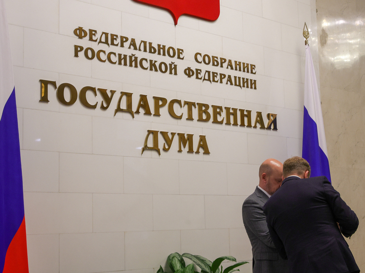 В Госдуме заявили, что Google нужно заплатить штрафы, чтобы оживить YouTube в РФ