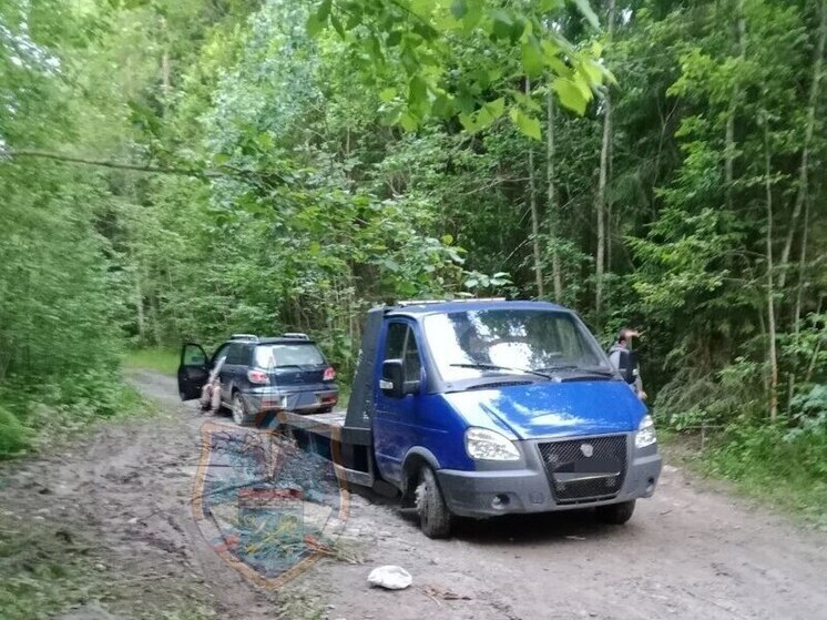 Спасатели помогли семье, застрявшей в лесу в Приозерском районе