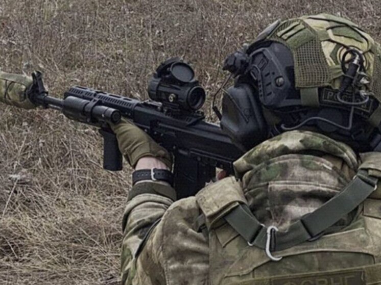 Армия РФ освободила Червоную Зирку в ДНР