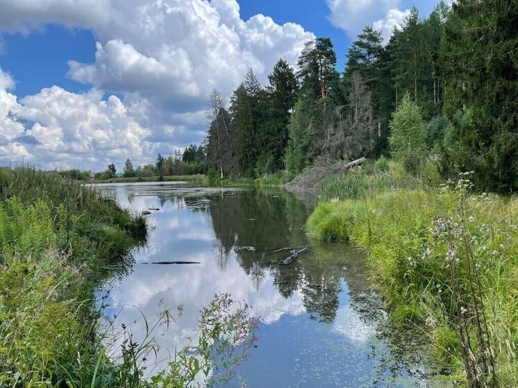 Резкое ухудшение погоды в Подмосковье прогнозируют в последний день июня