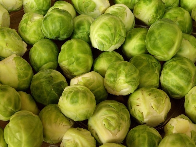 Калужан научили худеть на капусте