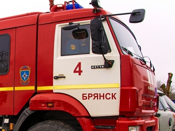 В Льгове огнеборцы МЧС России потушили гараж и времянку