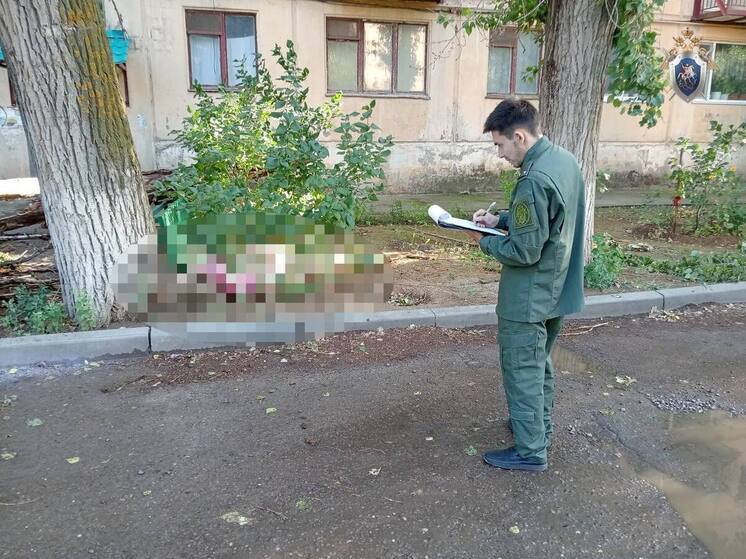 Астраханское СУ СКР возбудило дело по факту гибели женщины из-за падения дерева