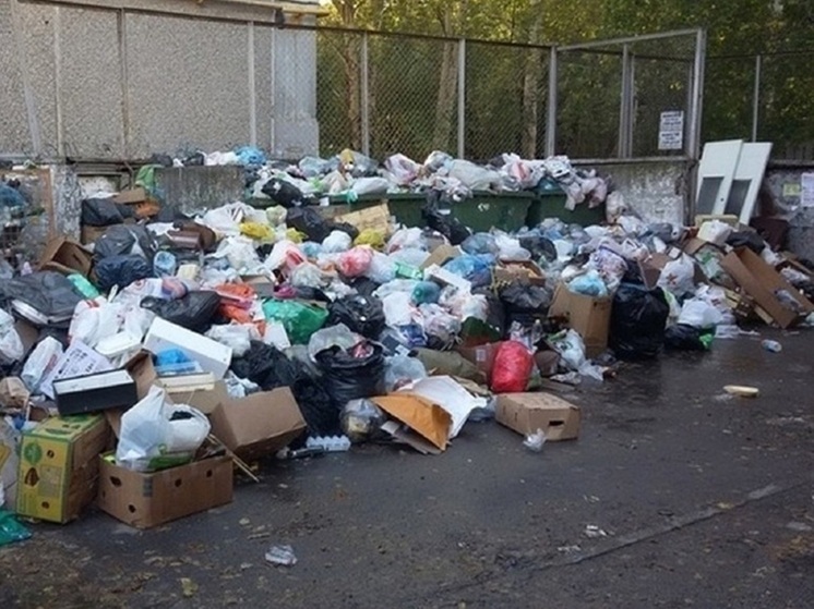 Денис Паслер отменил строительство мусоросортировочного завода под Сысертью