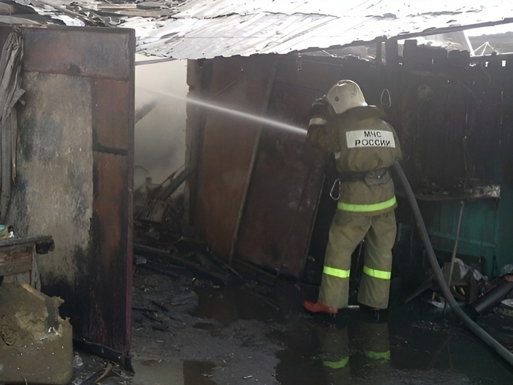 В Борисоглебске в Воронежской области загорелась надворная постройка и автомобиль