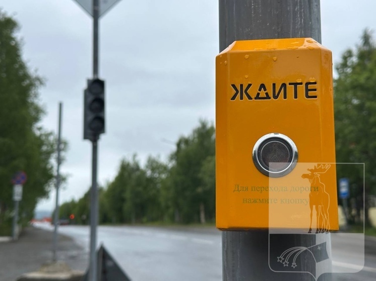 В Мончегорске около МФЦ установили вызывной светофор