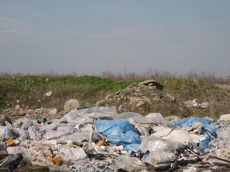 В Волгоградской области пресекли 12 фактов незаконного сброса отходов