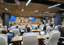 Мособлдума приняла закон, который обязывает органы государственной власти вдвое сокращать сроки рассмотрения обращений участников СВО и членов их семей