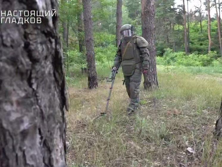 В Белгородской области обезврежено около 7100 взрывоопасных предметов с марта 2024-го