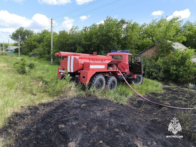 В Вейделевском районе пожарные потушили сухую траву
