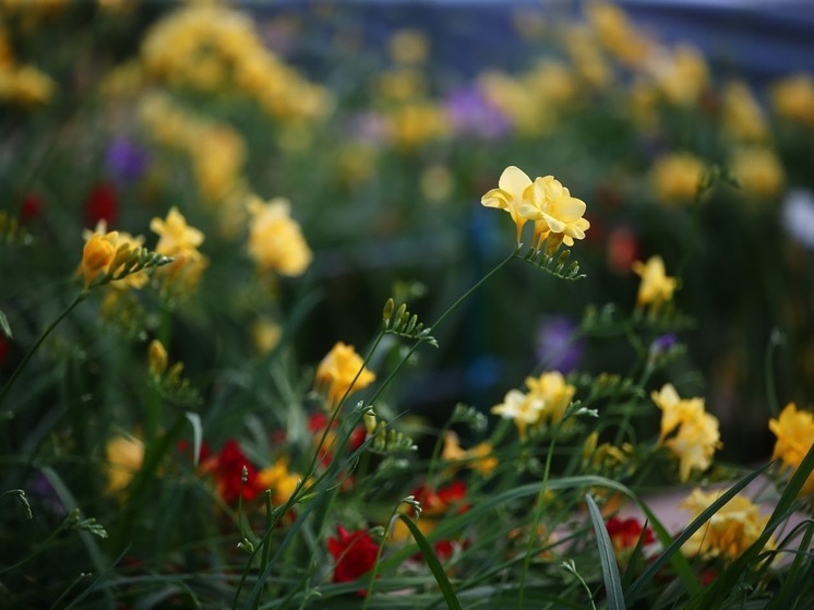 Народные приметы: чего нельзя делать 29 июня, в день Тихона Тихого