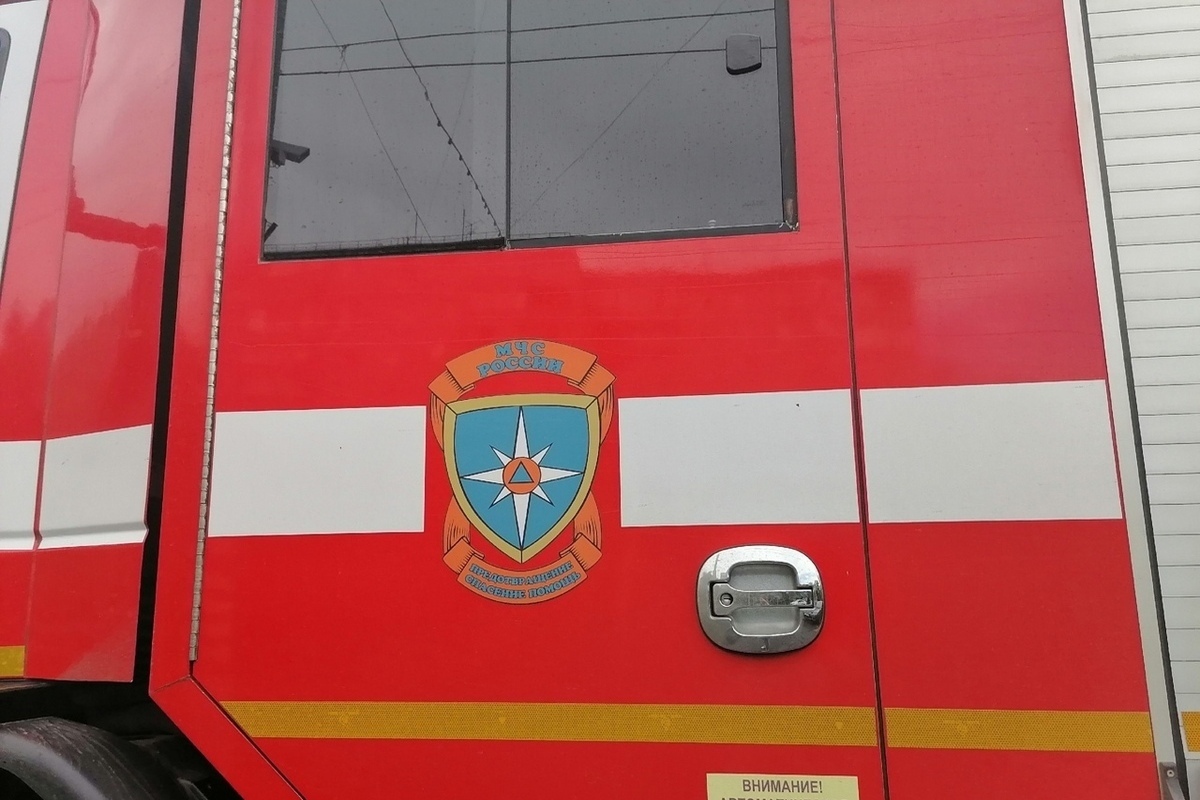 В Оренбурге сухие ветки стали причиной пожара около кинотеатра