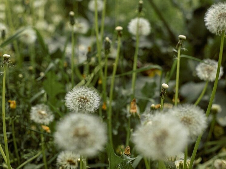 В Хабаровске 29 июня солнечно и до +32 градусов