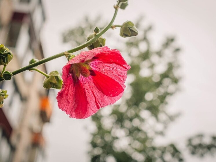 Во Владивостоке 29 июня солнце до +30 градусов в пригороде