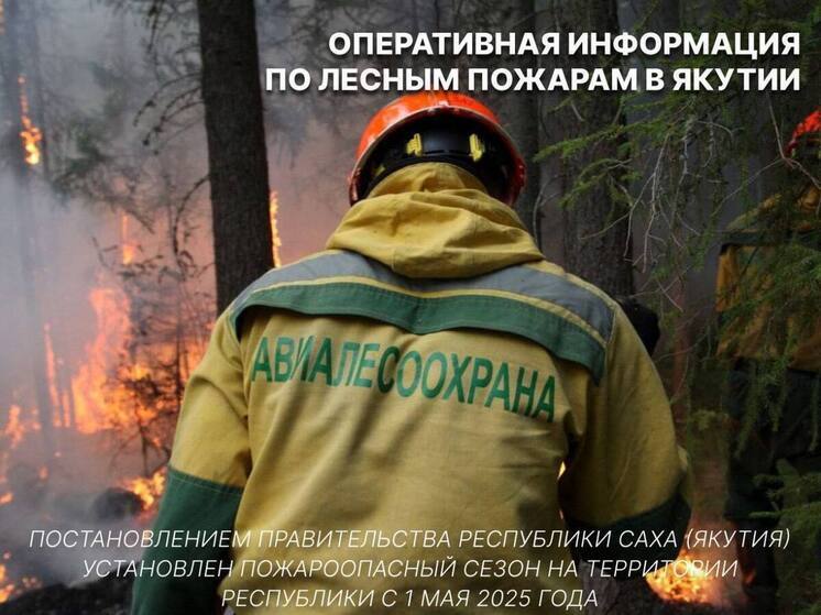 Лесные пожары в Якутии: оперативная информация на 29 июня