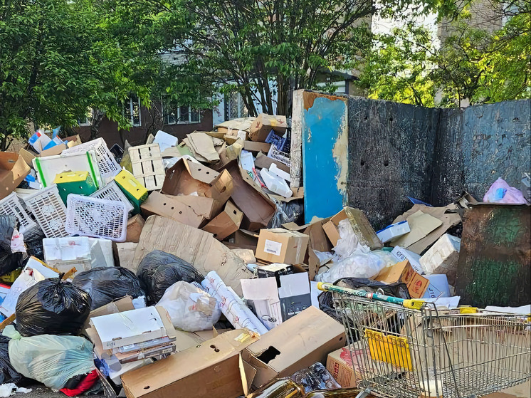 В Находке участок у многоквартирного дома забросали отходами