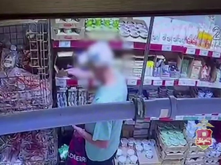  Воришку-оптовика поймали в Черногорске по горячим следам